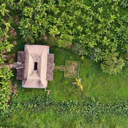 Ibbani Homestay, Siddapur Экстерьер фото