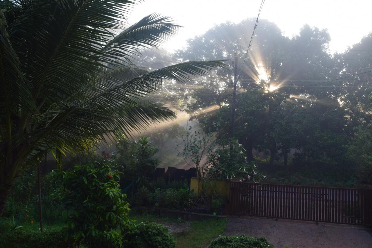 Ibbani Homestay, Siddapur Экстерьер фото