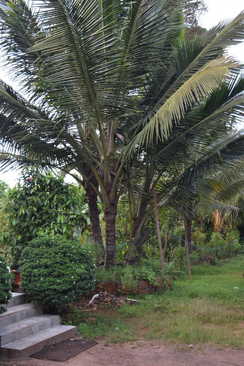 Ibbani Homestay, Siddapur Экстерьер фото