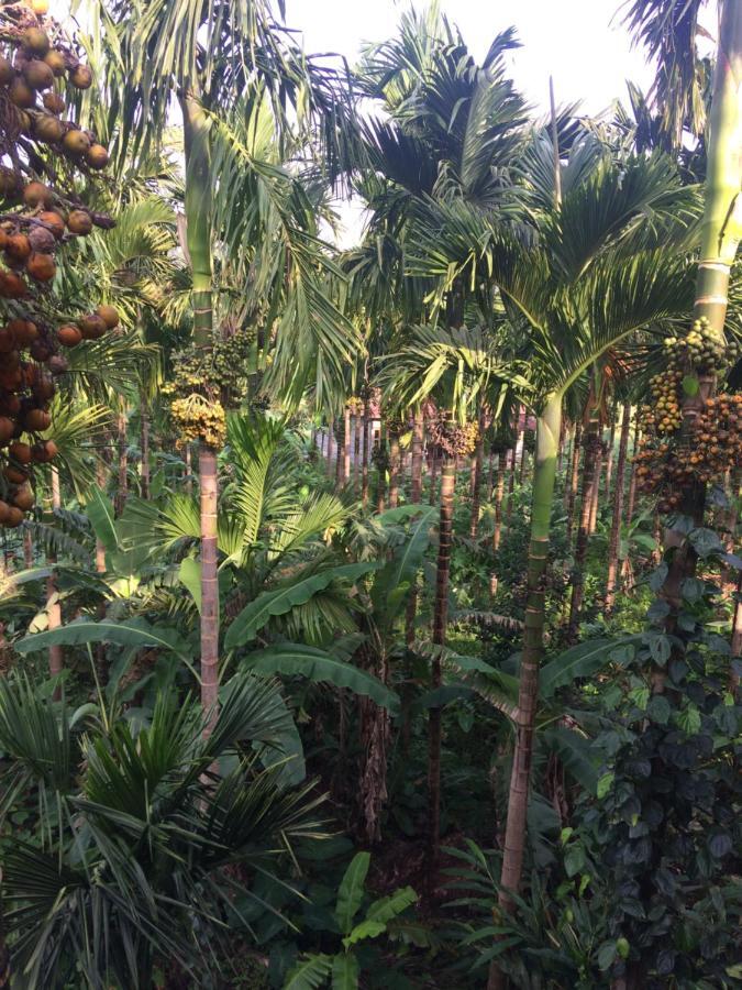 Ibbani Homestay, Siddapur Экстерьер фото